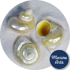 8766-45-P8 - Polished Golden Turban - Decor Pack